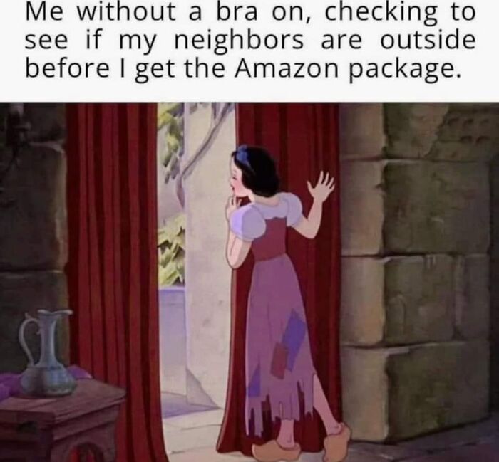 Snow White peeking outside nervously with text about checking neighbors before getting an Amazon package, random memes humor.