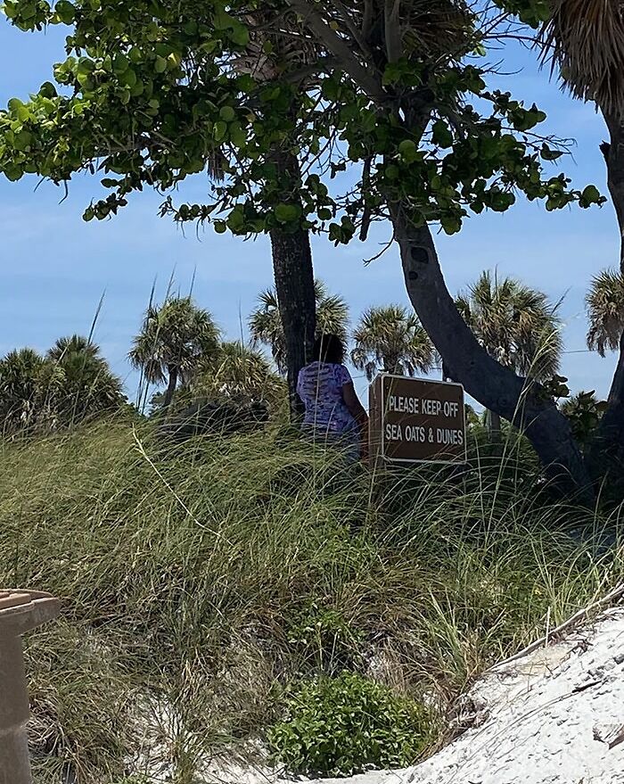 Tourist ignoring sign and standing on protected dunes among sea oats and palm trees on a sunny day.