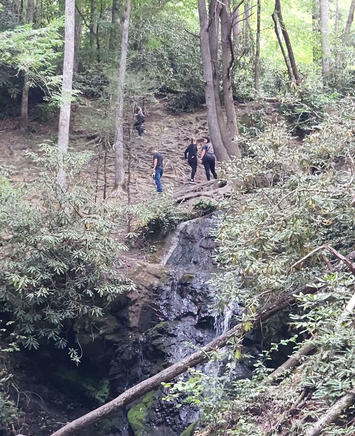 Group of rude tourists hiking near a waterfall in a forest, showing entitled behavior in nature outdoors.