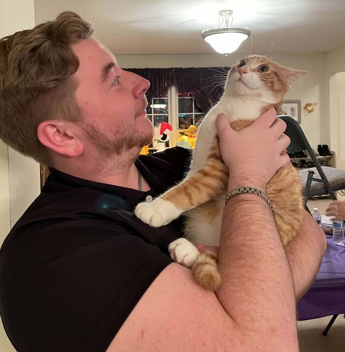 A man holding an orange and white cat with airplane ears sitting comfortably in a cozy indoor setting.