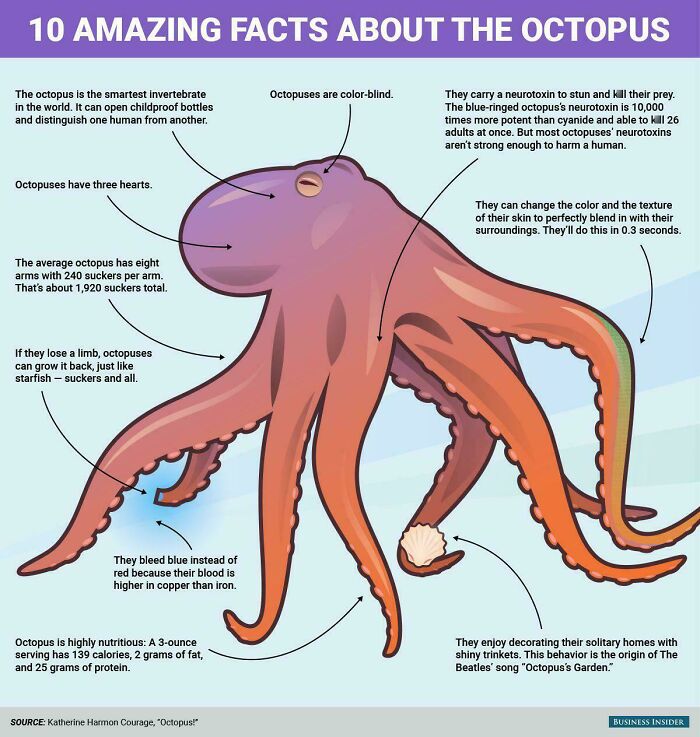 Illustration of an octopus with facts highlighting incredible ocean creatures and their unique features and abilities.