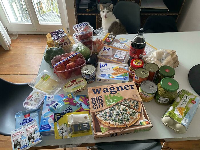 Groceries including frozen pizza, fresh produce, canned goods, and beverages displayed on a table with a cat nearby.