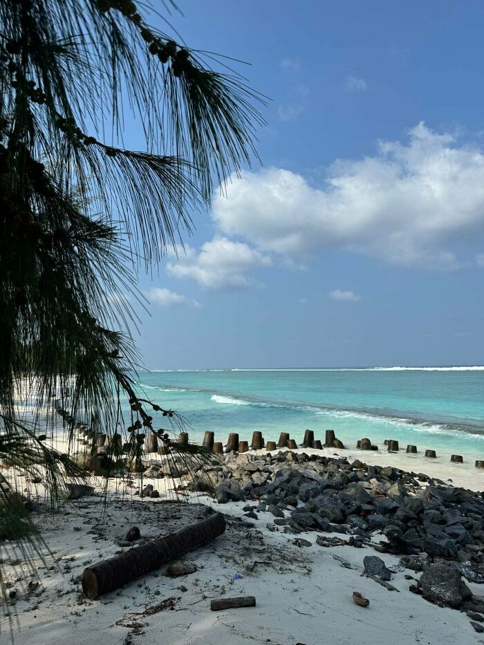 Turquoise ocean waves near a sandy beach with rocks and tree branches under a blue sky with clouds.
