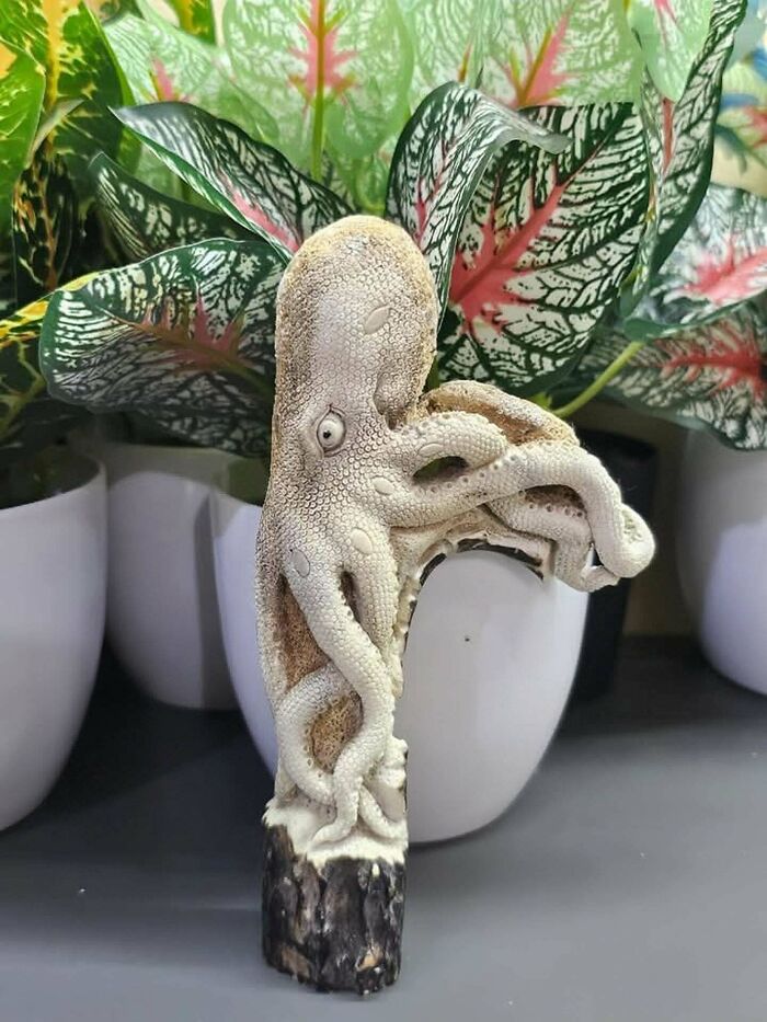 Sculpted incredible ocean creature resembling an octopus with detailed texture displayed indoors near potted plants.