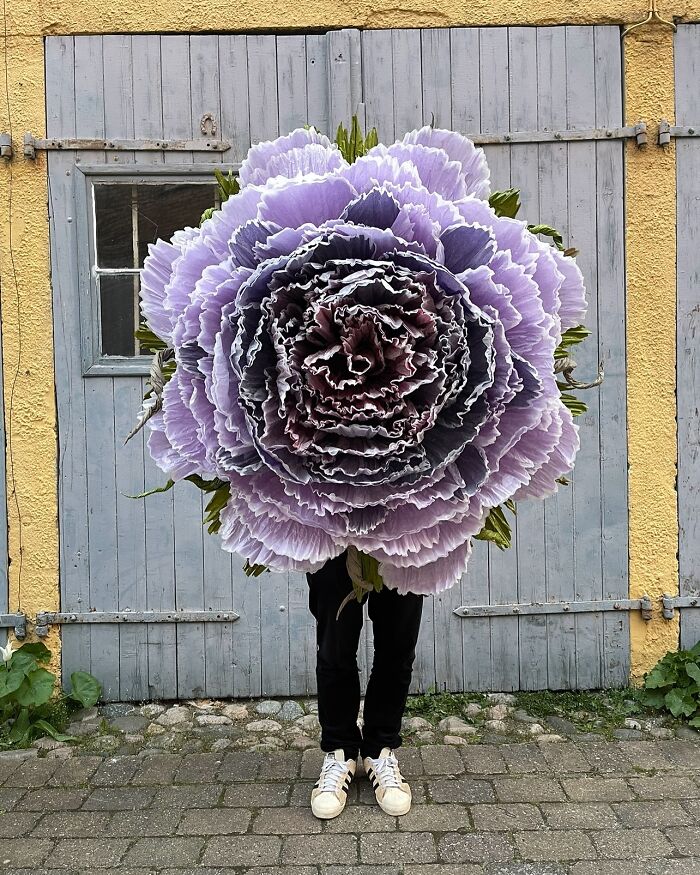 Giant tissue paper flower in purple shades held by a person standing in front of a rustic wooden door.