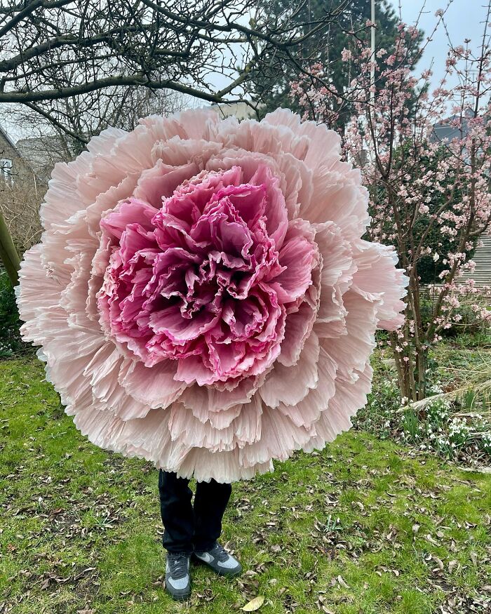 Giant flower made from tissue paper featuring layers of pink petals held outdoors in a garden setting.