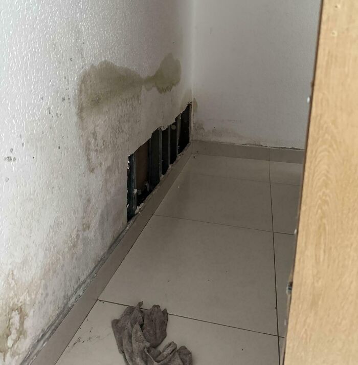 Moldy wall with missing drywall section and dirty cloth on floor in a rental property showing infuriating landlord specials.