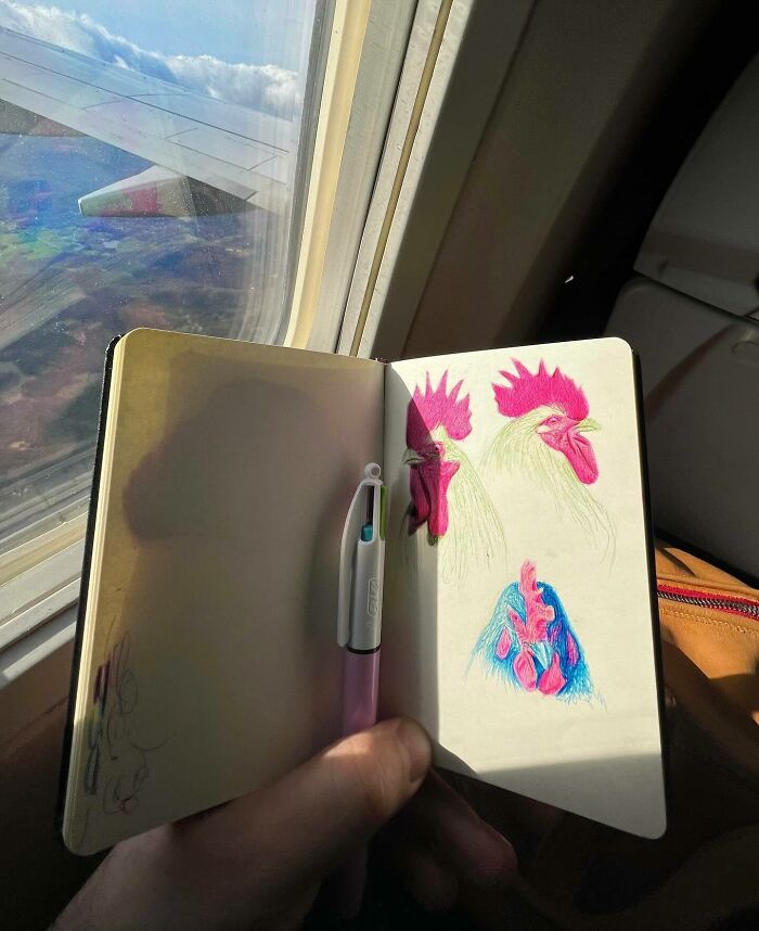 Tiny sketchbook held by artist showing colorful rooster drawings with airplane window and wing in background during flight.