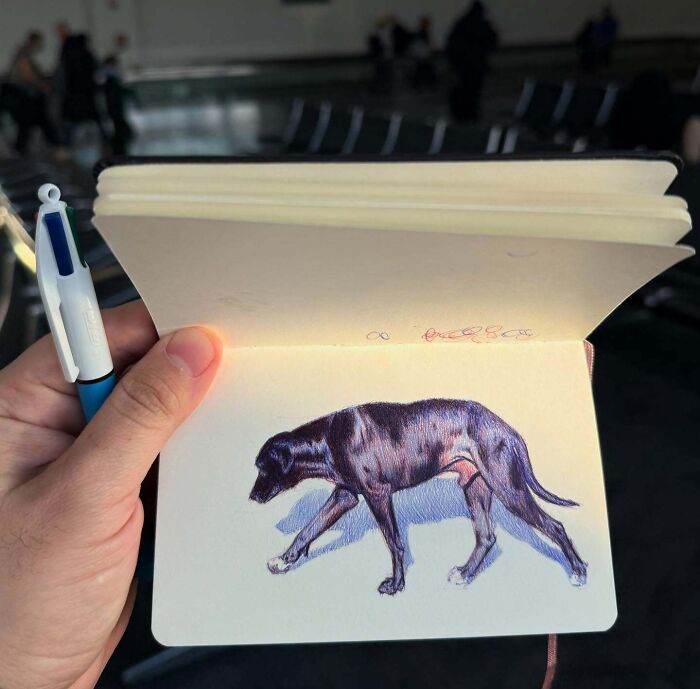 Hand holding a tiny sketchbook with a detailed drawing of a walking dog, showcasing big emotions in everyday moments.