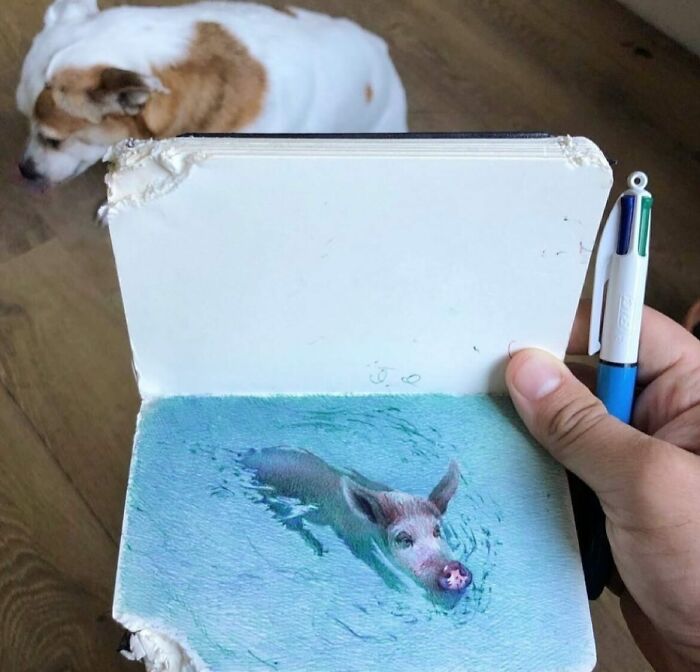 Tiny sketchbook held open to reveal a detailed drawing of a pig swimming, showcasing big emotions in everyday moments by artist Nicolas V. Sanchez.