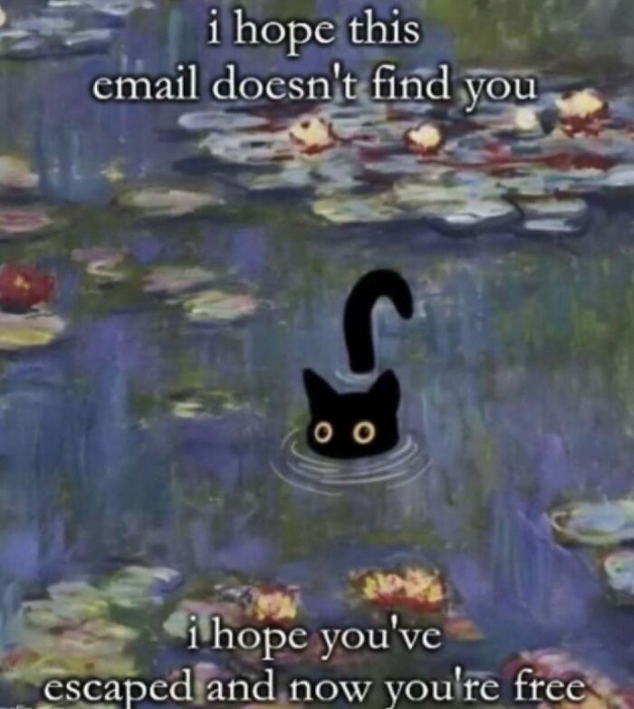Relatable meme featuring a black cat in water with text about hoping an email doesn't find you and escaping freedom.