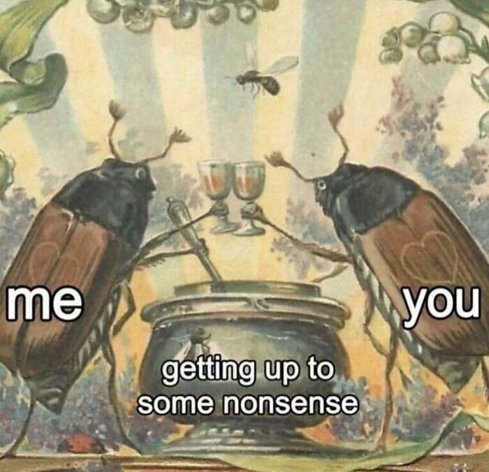 Relatable meme of two beetles clinking glasses labeled me and you, captioned getting up to some nonsense.