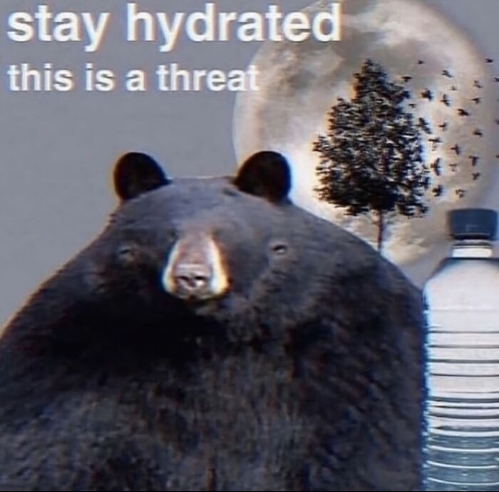 Relatable meme featuring a bear with text about staying hydrated and a bottle of water against a moonlit background.