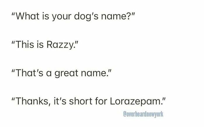 Text post showing a humorous conversation overheard in New York about a dog named Razzy, short for Lorazepam.