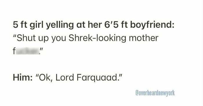 Text of a humorous overheard conversation between a short girl and tall boyfriend, highlighting funny New Yorkers moments.