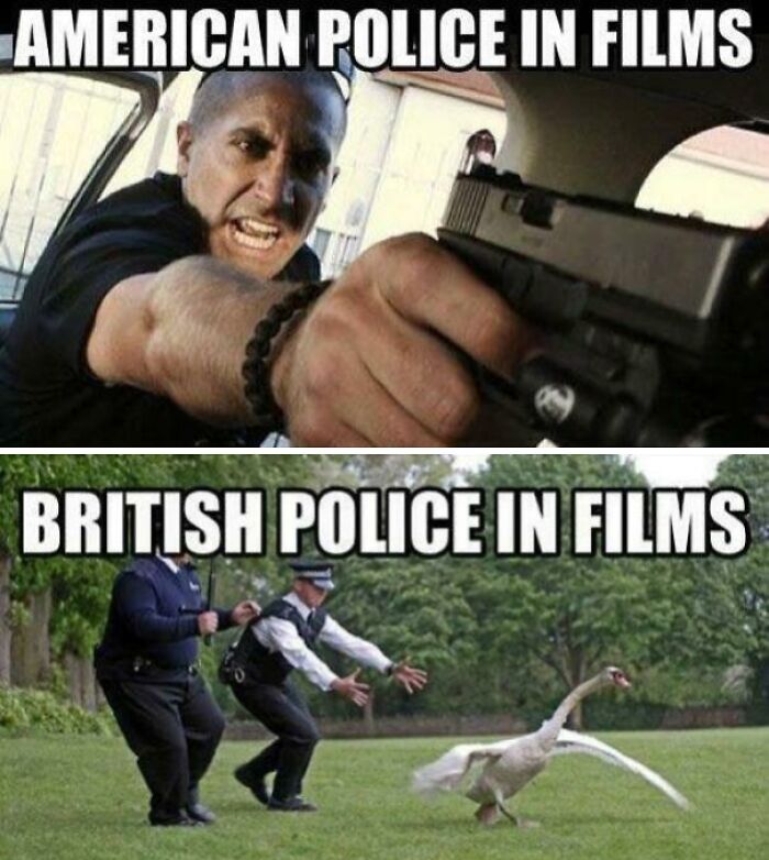 Comparison meme showing aggressive American police in films and British police gently chasing a swan, highlighting great British memes humor.