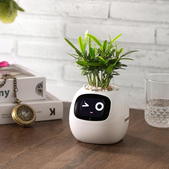 Smart tech plant pot with digital face display on wooden table, showcasing innovative Amazon tech finds for gadget lovers.