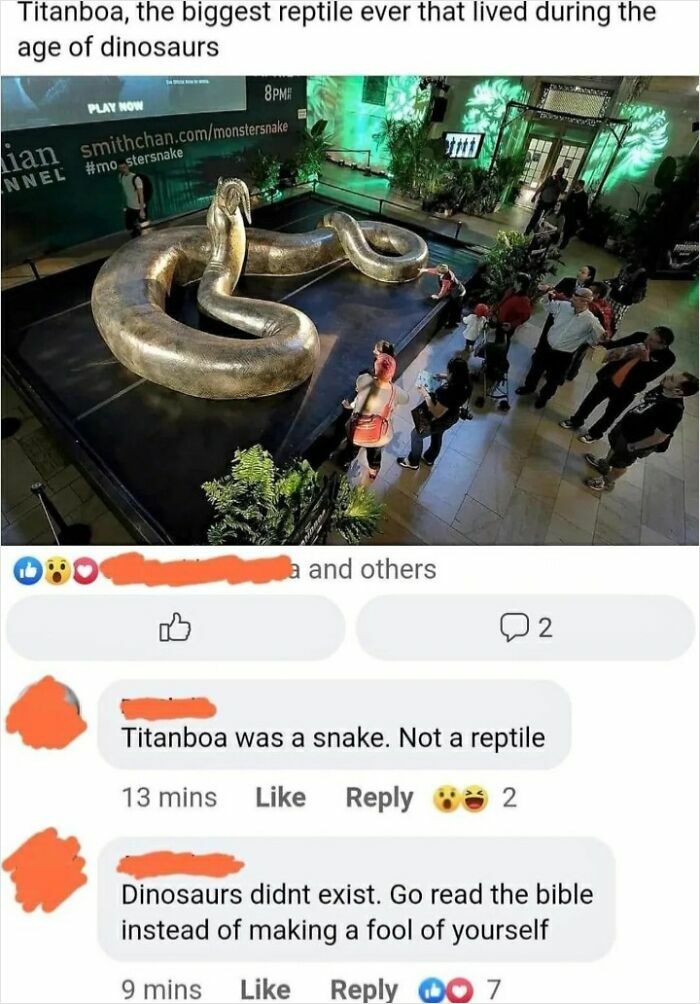 People react incorrectly to Titanboa exhibit, showing how bacteria don’t exist misconception reflects lack of critical thinking.