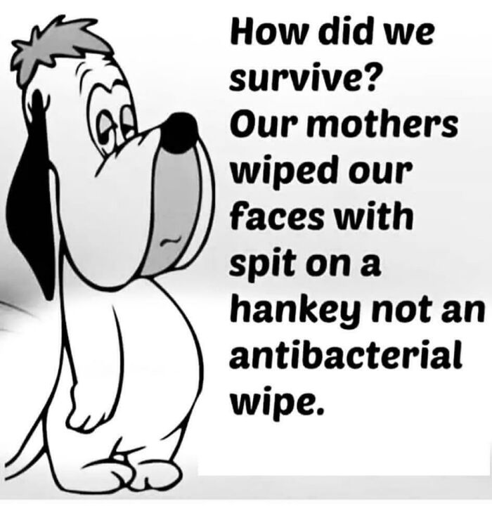 Cartoon dog next to text highlighting nostalgic memories of mothers wiping faces with spit and hankies, not antibacterial wipes.