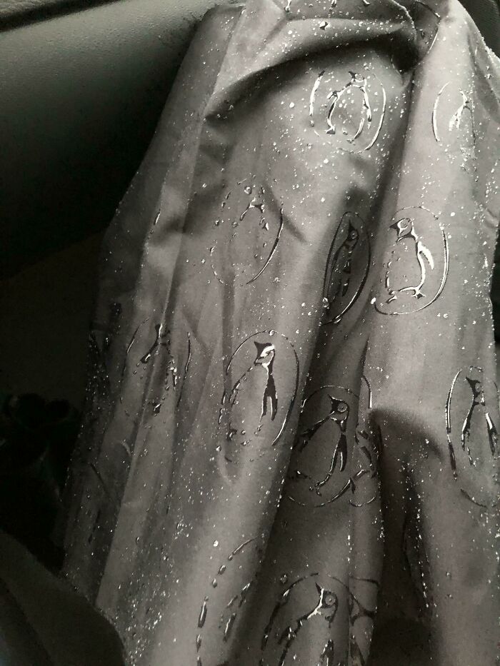 Water-repellent fabric with penguin prints showing clever solutions to overlooked issues in everyday items.