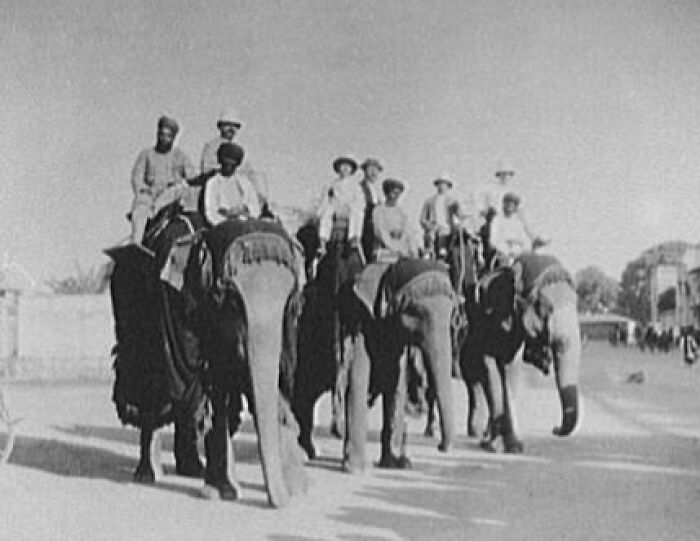 Historic commutes featuring workers riding elephants in a bygone working world, showcasing traditional transportation methods.