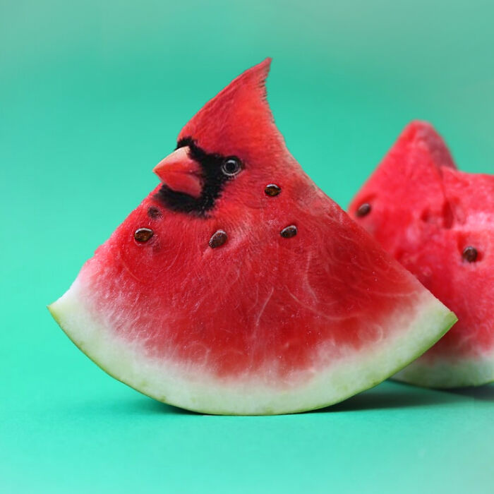 Watermelon slice creatively edited with a cardinal bird face, showcasing hilarious Photoshop skills in a vibrant green background.
