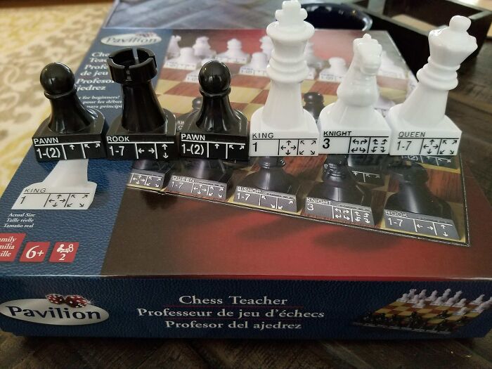 Chess pieces with movement labels showing clever ways people solved overlooked issues in chess teaching tools.
