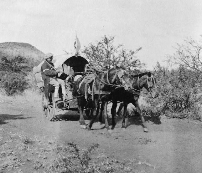 Man driving horse-drawn carriage on rural road, illustrating historic commutes in a bygone working world.