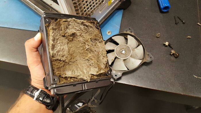 A person holding a computer fan clogged with dust, illustrating one of the hilarious tech fails and computer skills challenges.