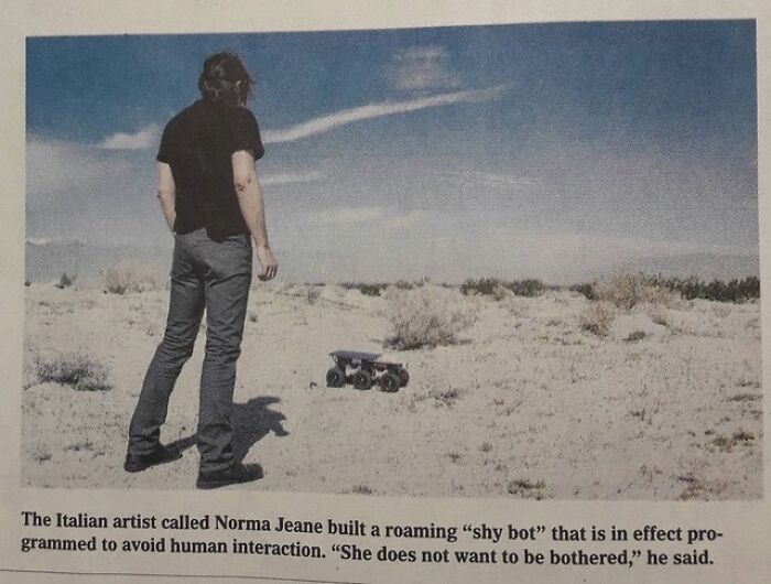 Person standing in desert watching a roaming shy bot, illustrating hilarious tech fails and computer skills humor.