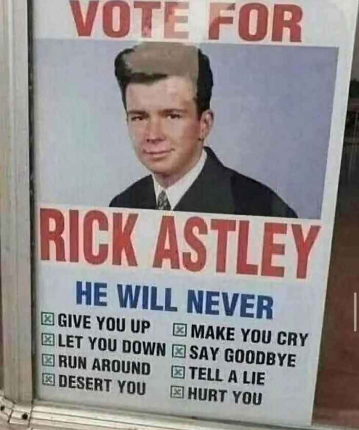 Campaign poster parody featuring Rick Astley with checkmarks referencing his song lyrics, a nostalgic meme from the 80s and 90s era.
