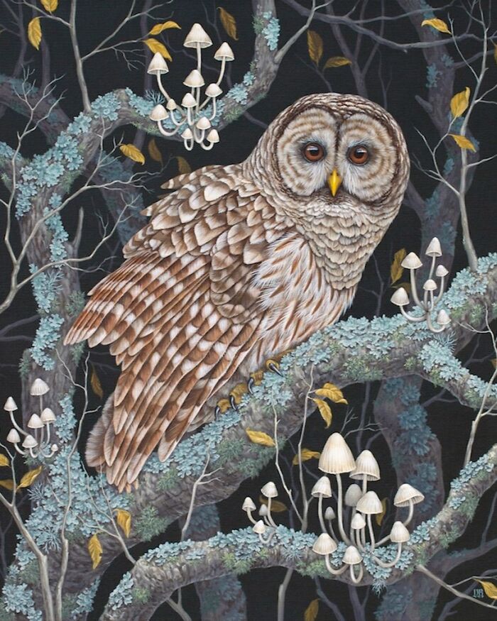 Nature-inspired painting of a detailed owl perched on mossy tree branches with small white mushrooms and autumn leaves.