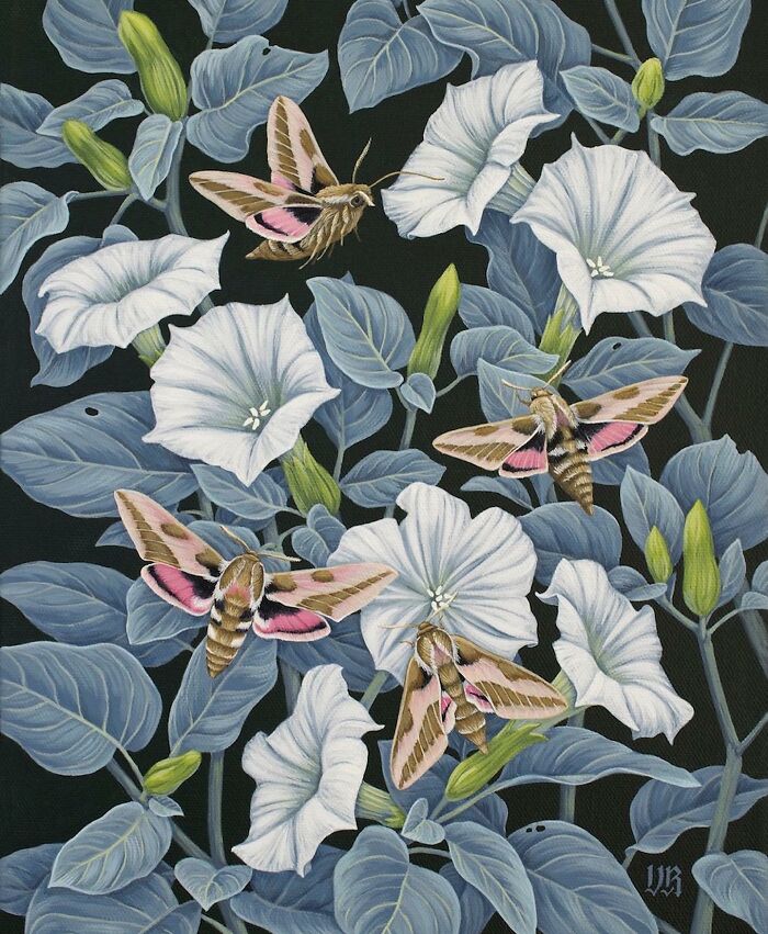 Nature-inspired painting of white flowers and moths with blue-green leaves by Vasilisa Romanenko in detailed botanical style