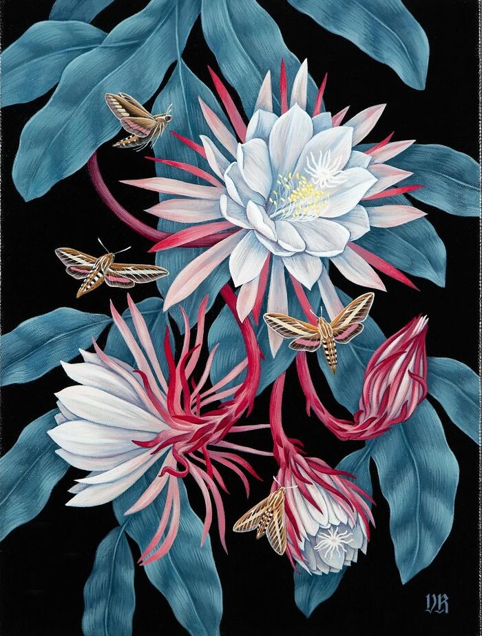 Nature-inspired painting of white flowers and moths set against dark blue leaves by Vasilisa Romanenko.