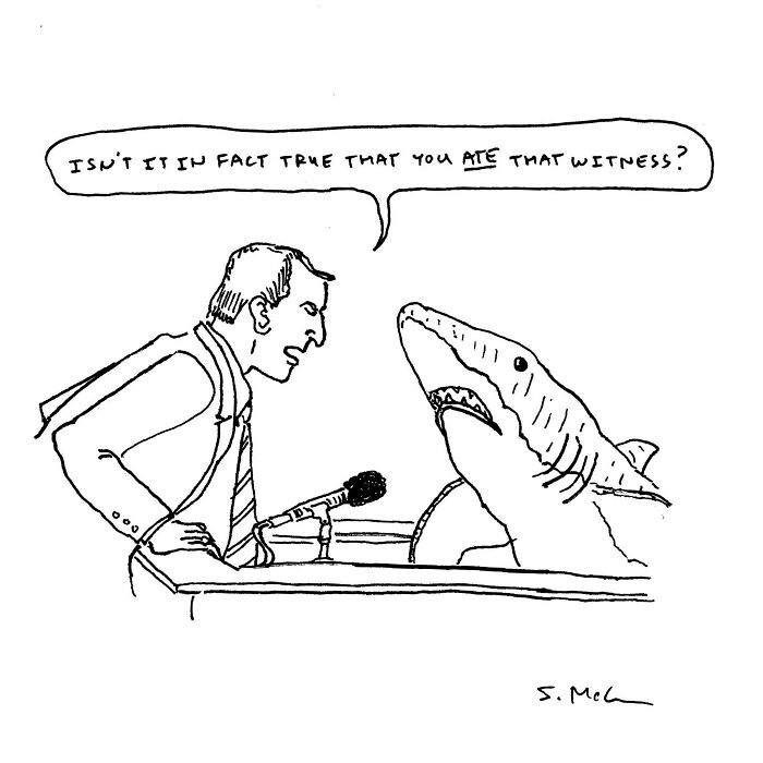 Comic by Steve McGinn showing a lawyer questioning a shark as a witness in a courtroom, capturing funny everyday moments.