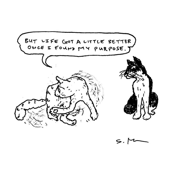 Comic by Steve McGinn showing cats with a humorous take on finding purpose, capturing everyday relatable moments.