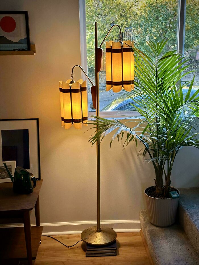Mid-century floor lamp with vintage charm glowing warmly next to a green potted plant by a window in cozy room.