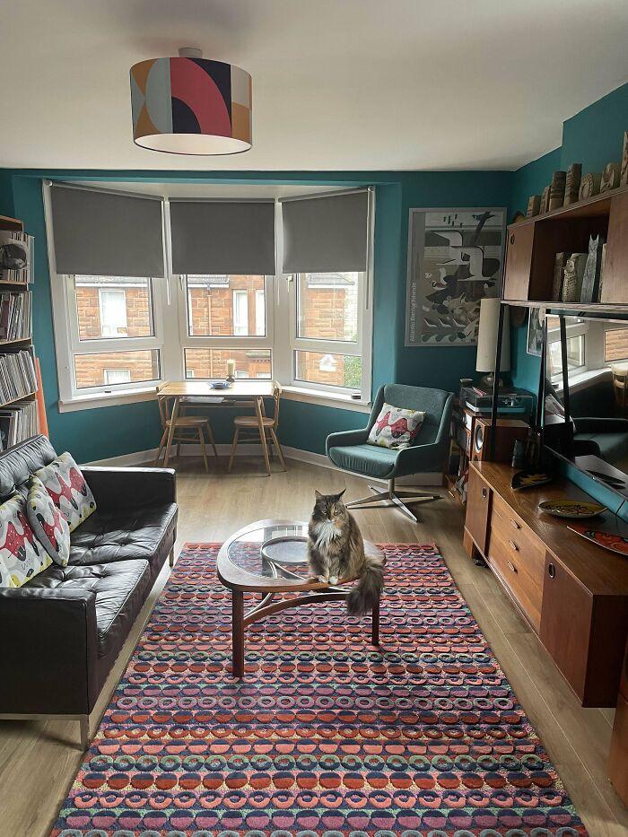Mid-century living room with teal walls, vintage wooden furniture, patterned rug, and a cat on a glass coffee table.