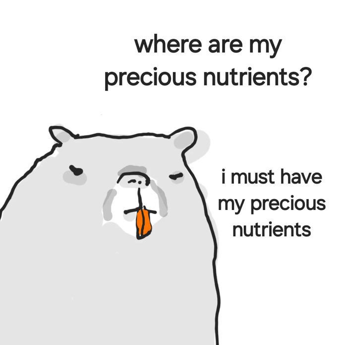 Minimalist animal illustration of a bear with orange tongue, demanding its precious nutrients in a comforting style.