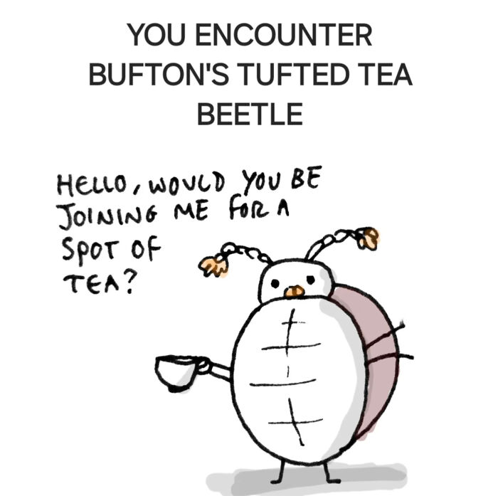 Illustration of a comforting tufted tea beetle inviting for tea, part of strange yet comforting animal illustrations.