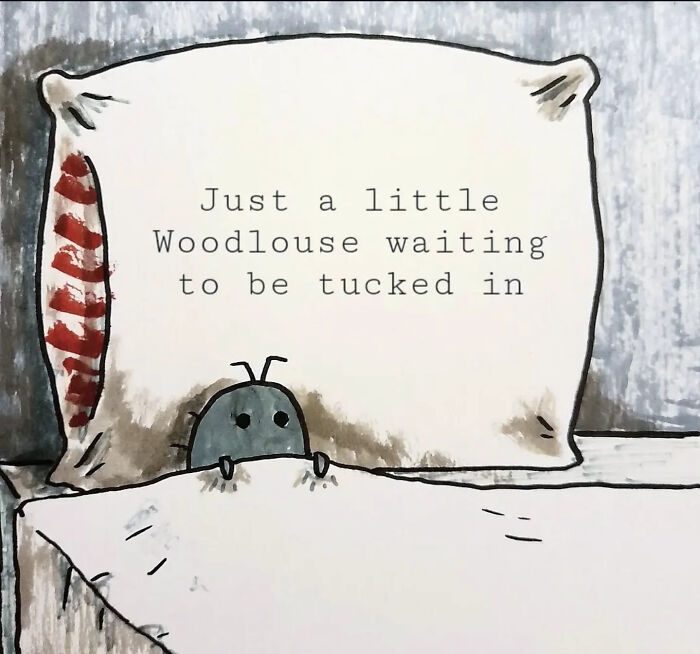 Illustration of a comforting animal woodlouse tucked in bed with a cozy pillow in a calming scene.