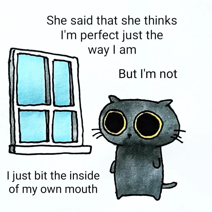 Comforting animal illustration of a wide-eyed black cat with a window, capturing a quirky, relatable moment by Andy Younger.