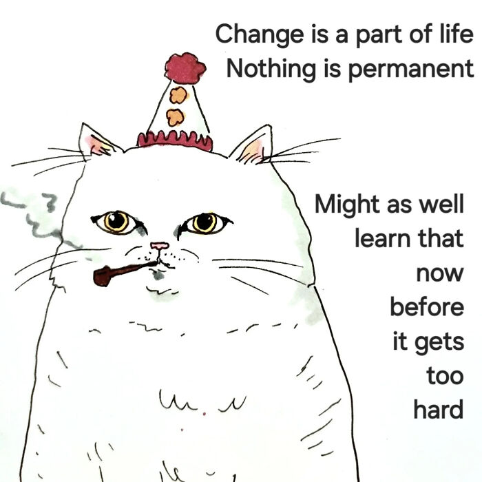Whimsical animal illustration by Andy Younger featuring a cat with a party hat and pipe, offering comforting life advice.
