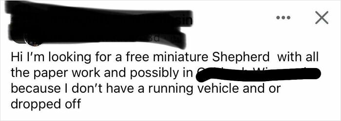 Screenshot of an entitled social media post asking for a free miniature Shepherd dog with all paperwork and delivery included.