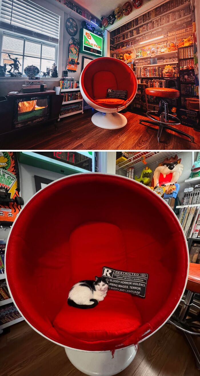 Mid-century designs featuring a vintage red ball chair and retro decor in a cozy, nostalgic living space.