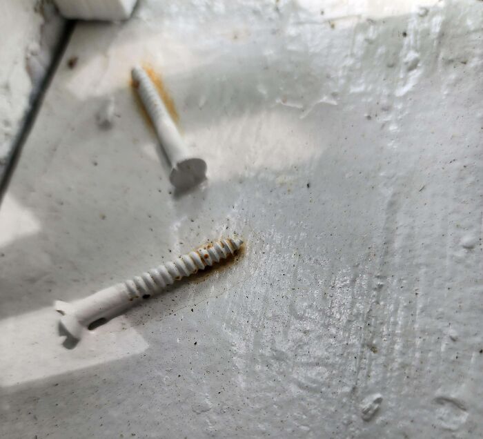 Two rusty white screws stuck in chipped and dirty paint, showing infuriating landlord maintenance issues.