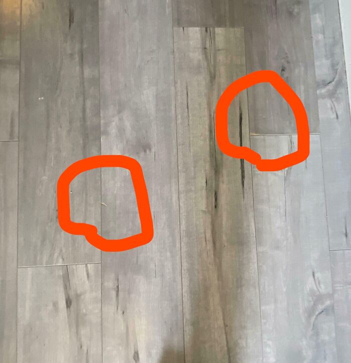 Close-up of a laminate floor with installation flaws circled in red, showing infuriating landlord fixes and landlord specials.