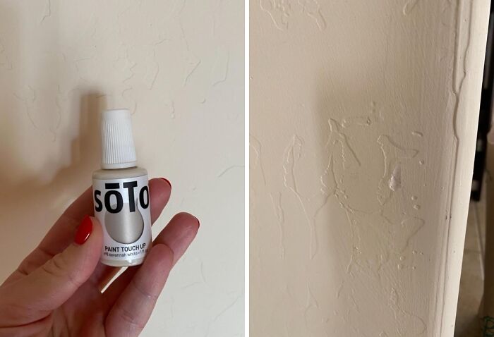 Hand holding a small paint touch-up bottle next to a close-up of a textured wall with minor paint damage home upgrade.