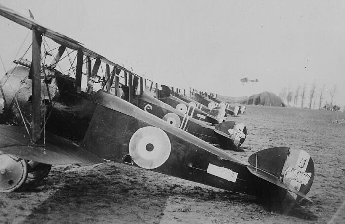 Row of vintage biplanes parked on airfield, capturing the magic of aviation history in an early 20th century setting.