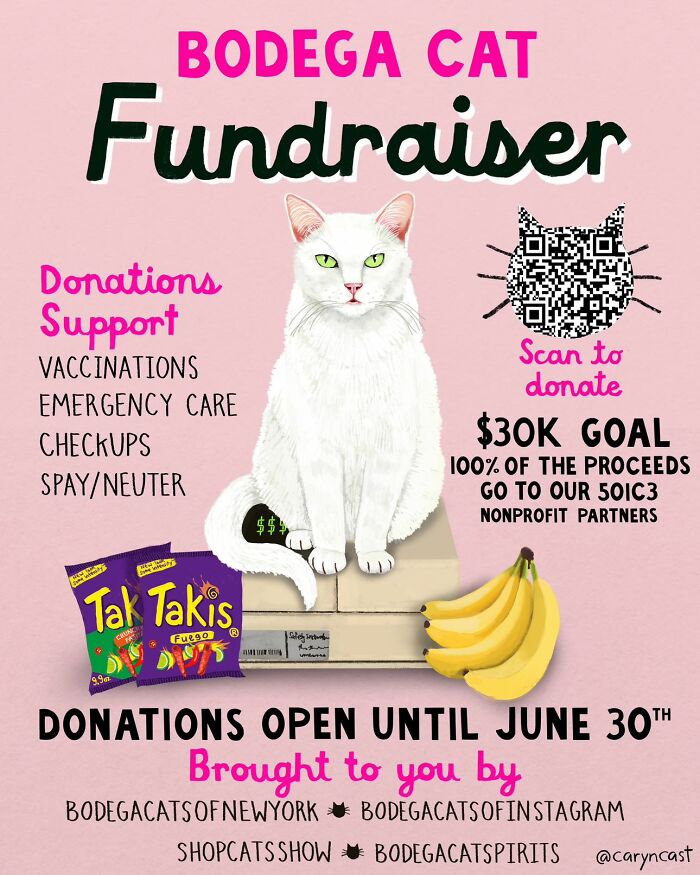 NYC’s Bodega Cats Are Getting The Care They Deserve Thanks To Our Fundraiser NYC’s Bodega Cats Are Getting The Care They Deserve Thanks To Our Fundraiser